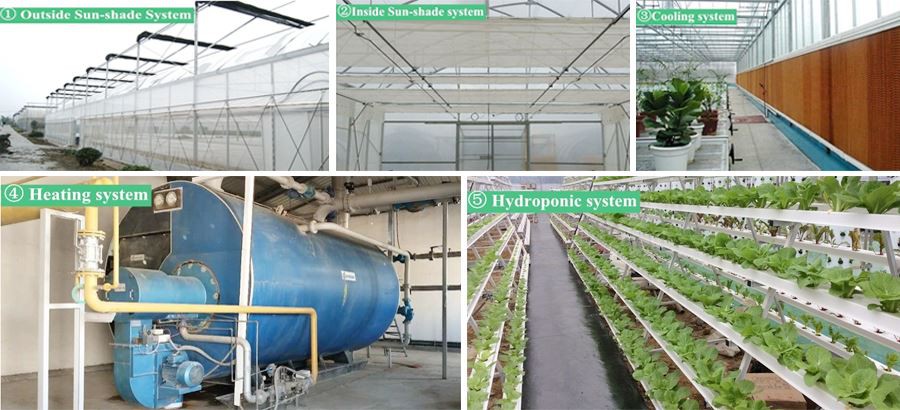 product-1-1 corrugated plastic greenhouse factory