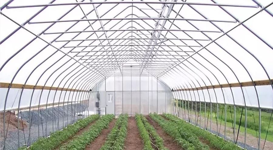 walk in plastic greenhouses cheap manufacture