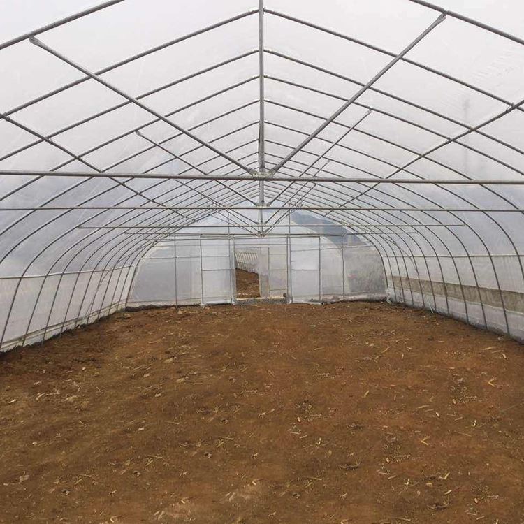 Tunnel Greenhouse