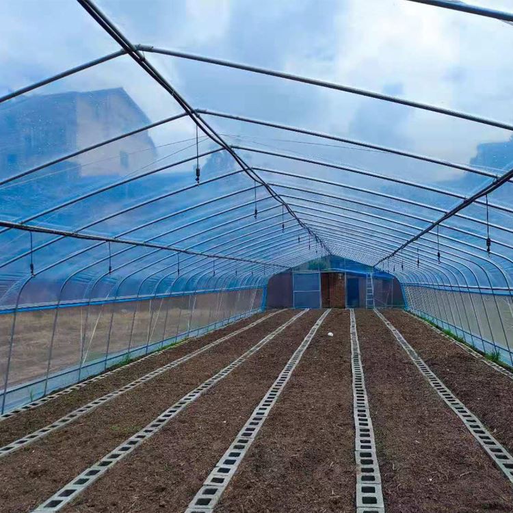 Single-Span greenhouse for agricultural