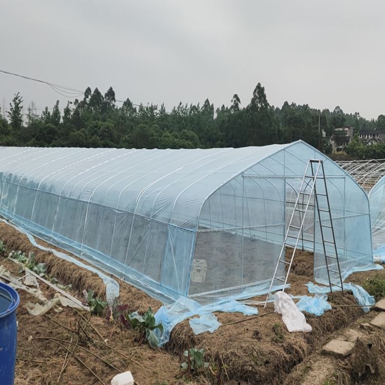 Tunnel Plastic Greenhouse