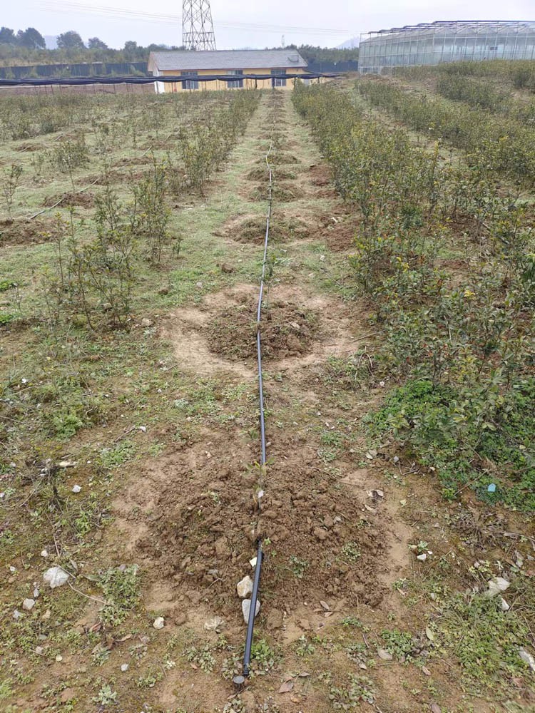 Irrigation System Irrigation System