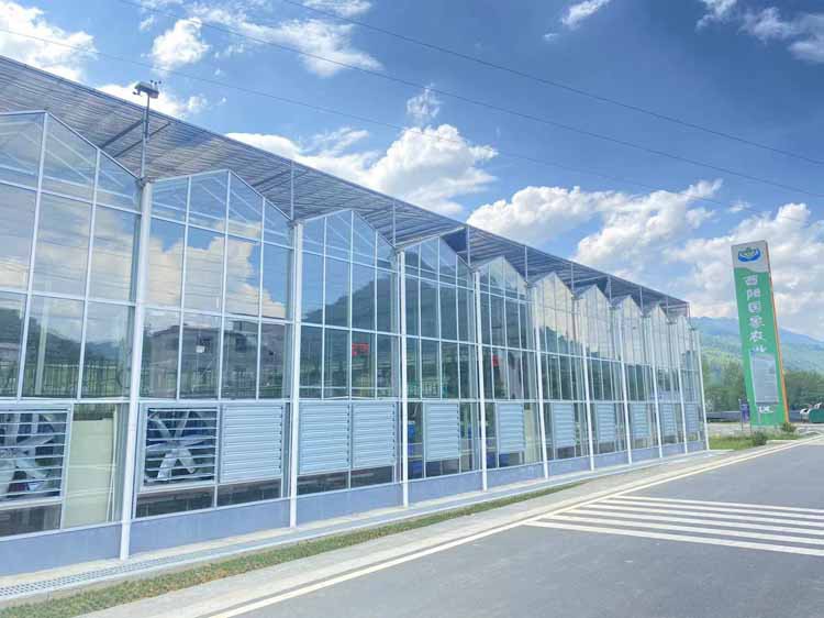 Methods of dehumidification in fruit greenhouses