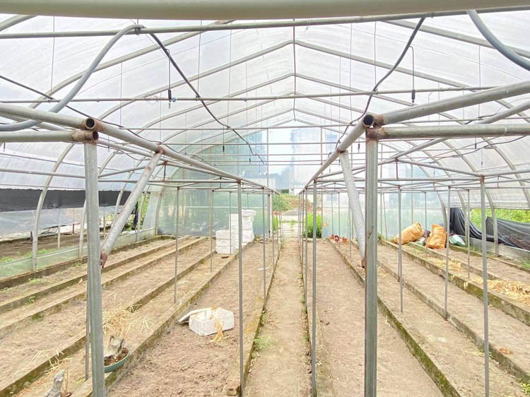 Single-span Plastic Film Agricultural Greenhouse Single-span Plastic Film Agricultural Greenhouse