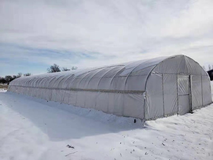 The main points of vegetable cultivation in greenhouse The main points of vegetable cultivation in greenhouse