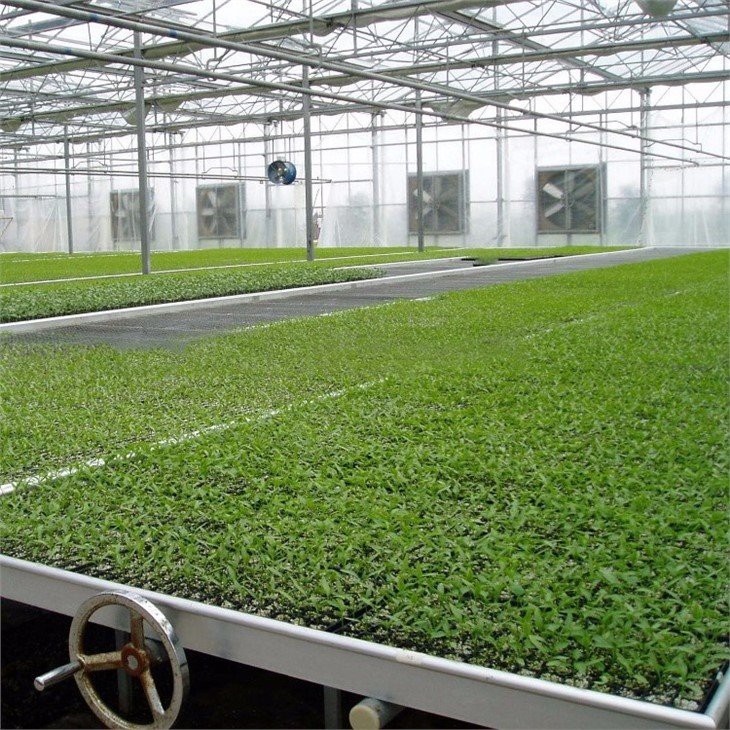 greenhouse seedbed nursery manufacture