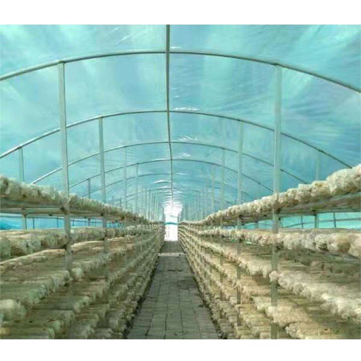 walk in plastic greenhouses cheap price
